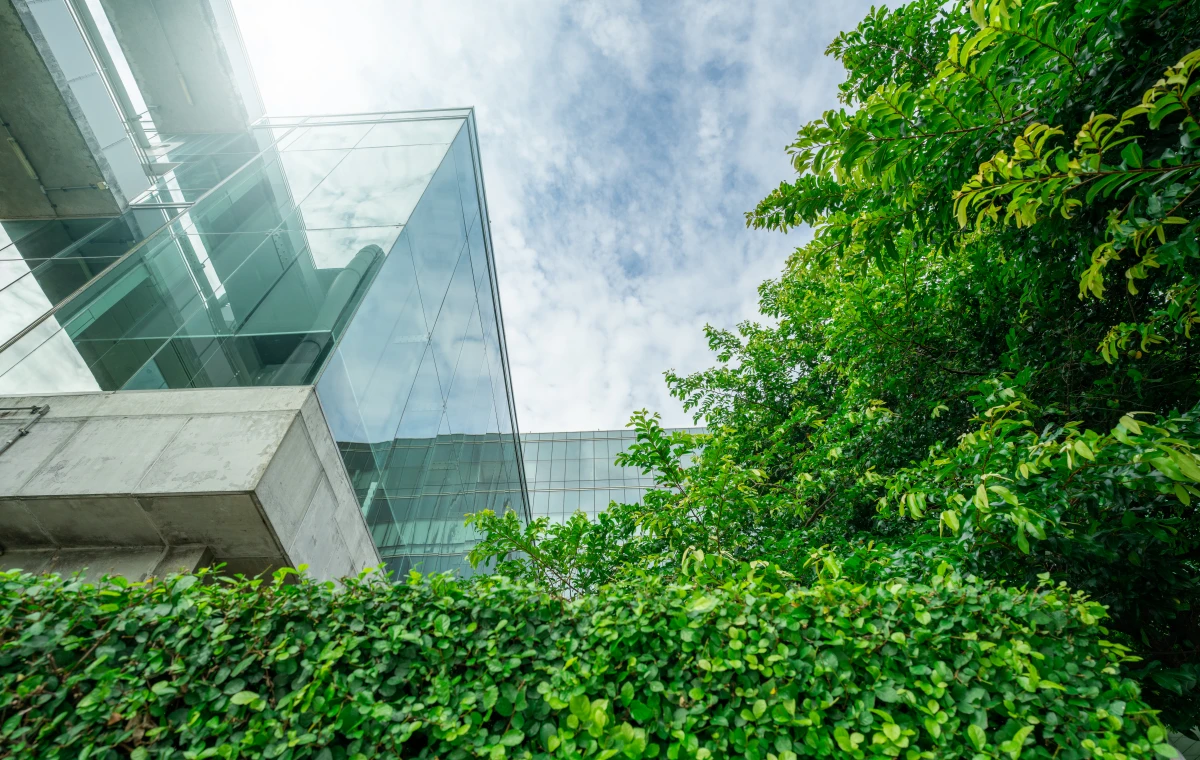 Révolution verte dans l'immobilier : Les normes environnementales redessinent l'avenir de la construction