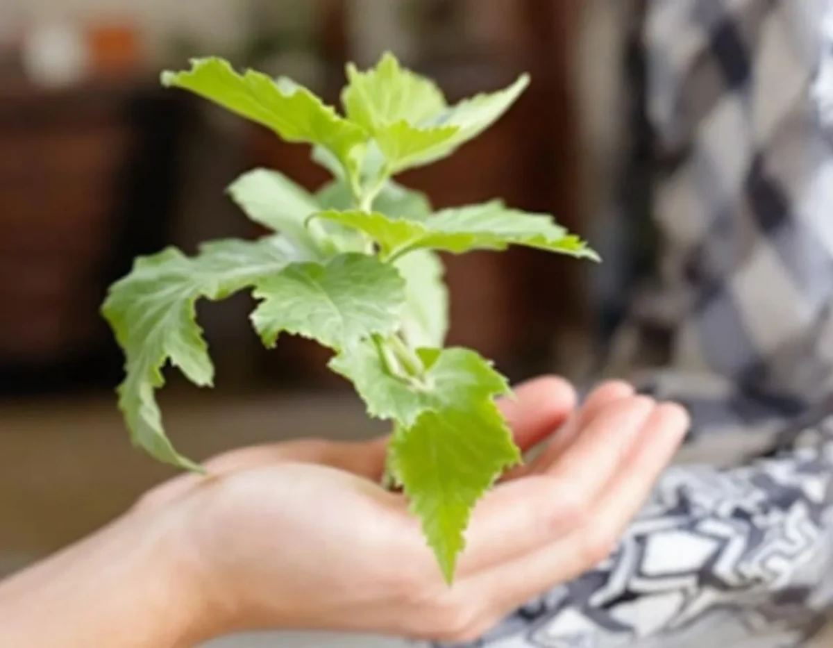 Réduisez vos factures d'énergie avec les pompes à chaleur air/eau : la solution écologique révolutionnaire